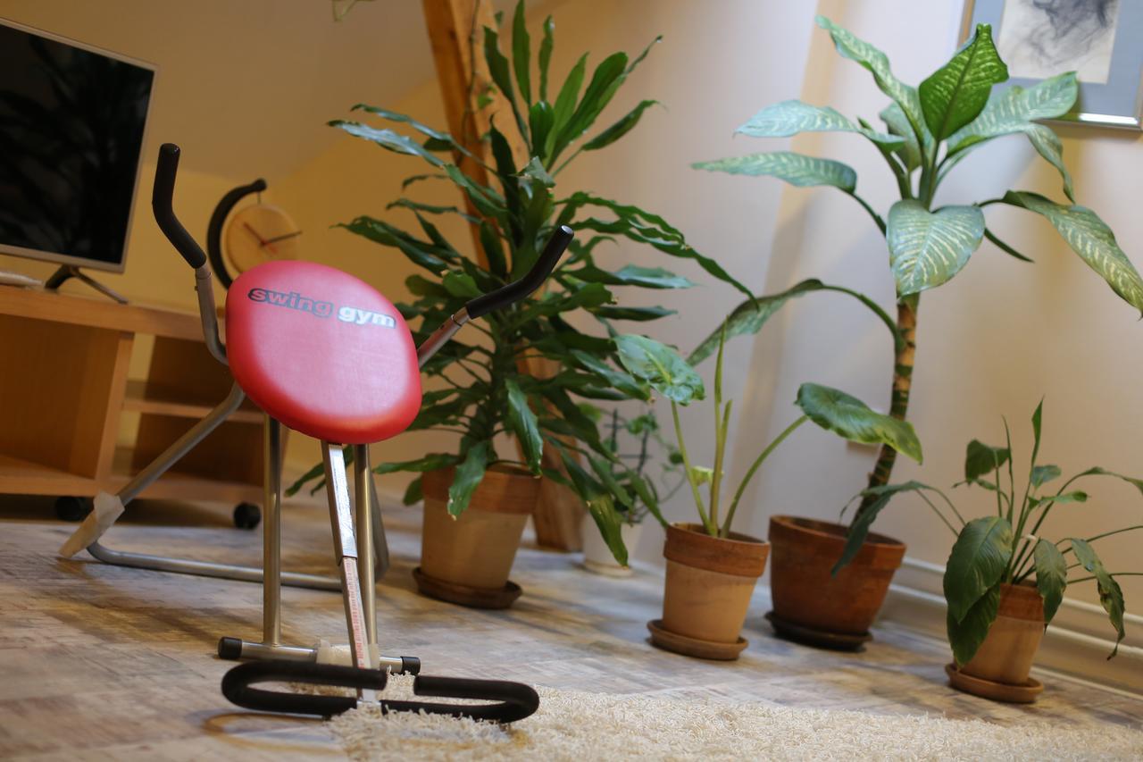 Magic Apartment Nowy Sad Zewnętrze zdjęcie