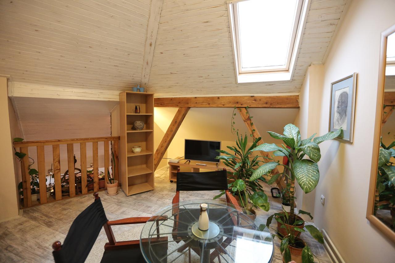 Magic Apartment Nowy Sad Zewnętrze zdjęcie