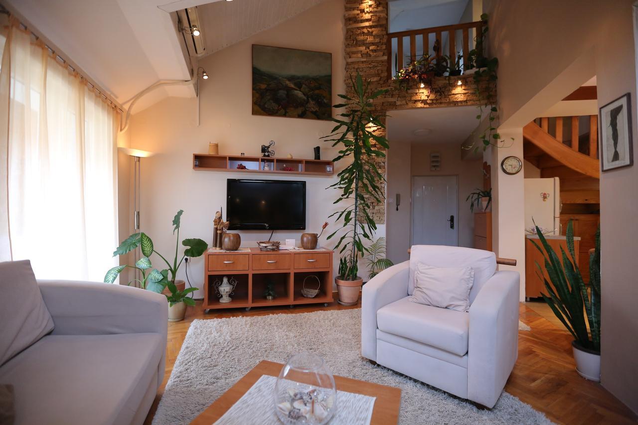 Magic Apartment Nowy Sad Zewnętrze zdjęcie